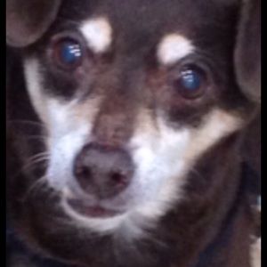 Meet your Posher, Maria